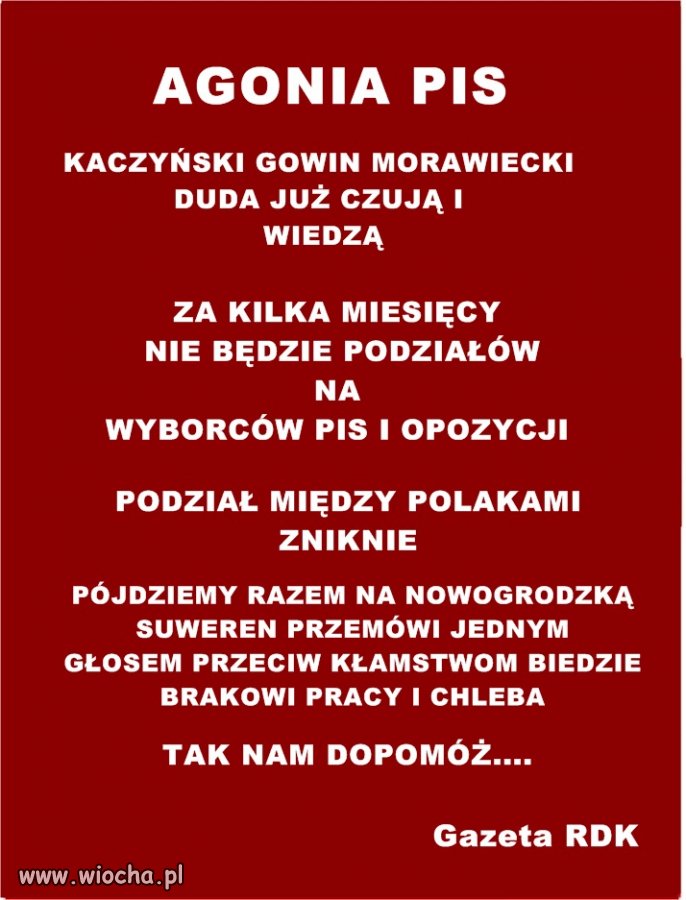 AGONIA PIS 