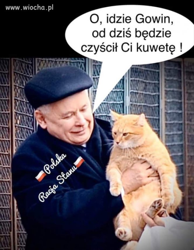 Nowa obsługa
