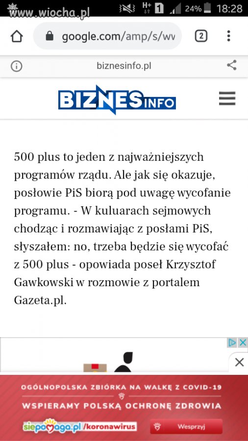 I madki zaraz będą kwiczec 