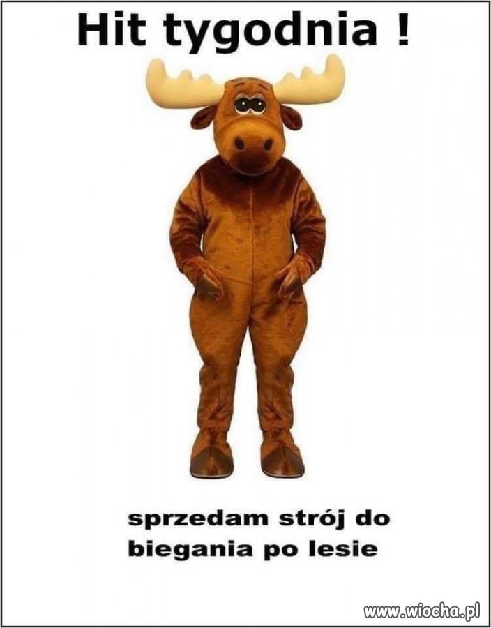 Ktoś chce sobie pobiegać?