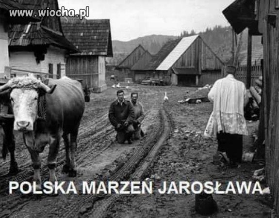 Polska kaczych marzeń...