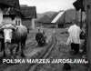 Polska kaczych marzeń...