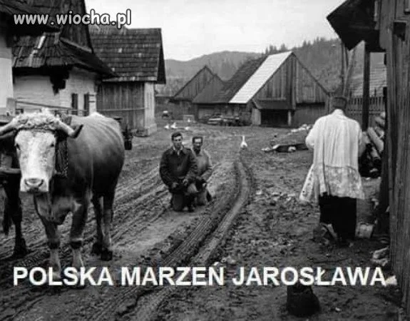 Polska kaczych marzeń...