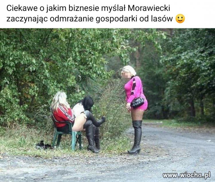 Ruchadła Leśne i Dzikie Foczki Adriana