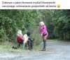 Ruchadła Leśne i Dzikie Foczki Adriana