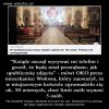 Głupota ludzka nie zna granic.