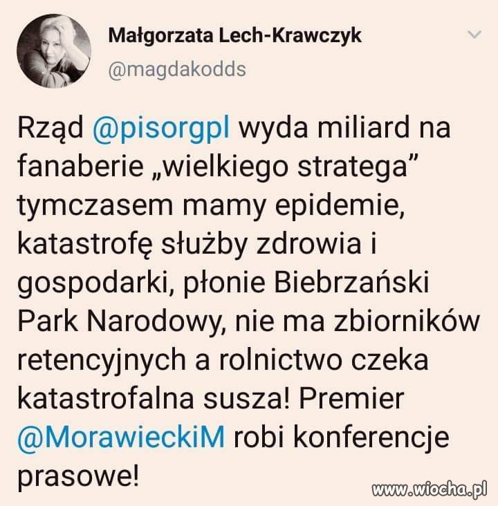 Konferencje prasowe