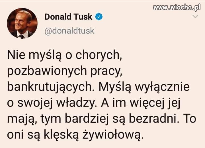 Trafne, co prawda.