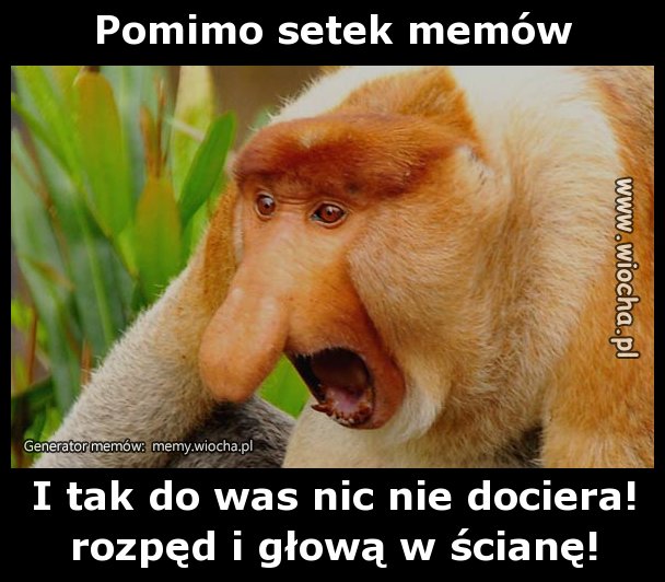 Pomimo setek memów
