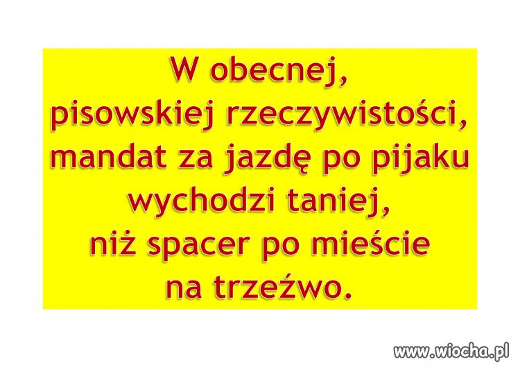 Rzeczywistość