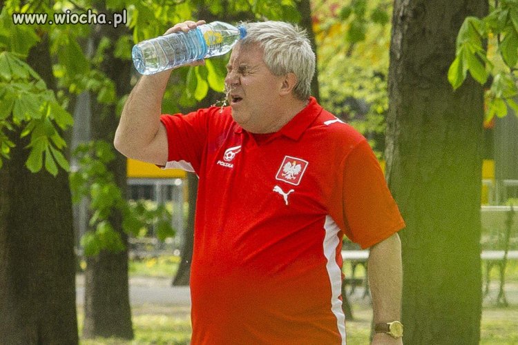 Gdy w pisie zrobili Ci wodę z mózgu... 