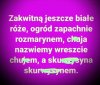Jeszcze będzie pięknie ...