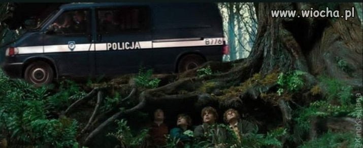 Hobbitów Gonią!