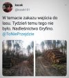 Łatanie dziury w budżecie drewnem?