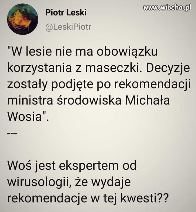 Kolejny
