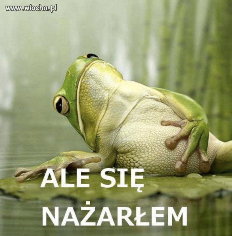 No i po