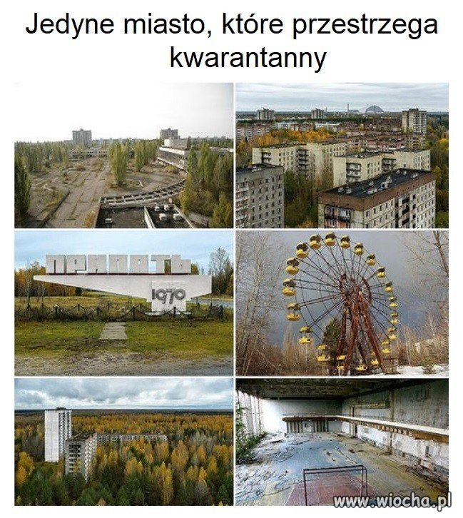 W 100%