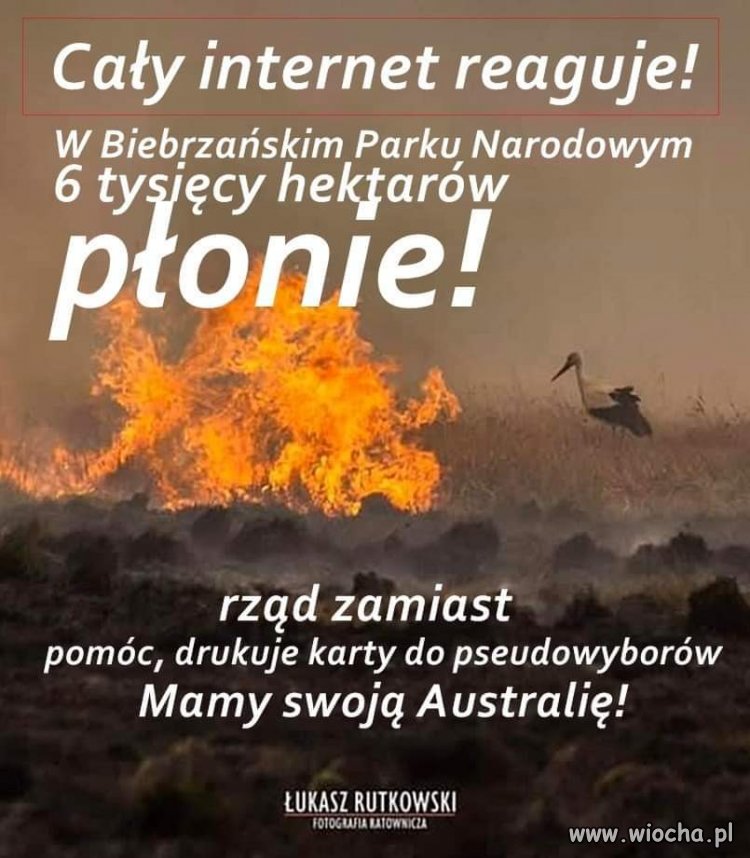 Jest świetnie 