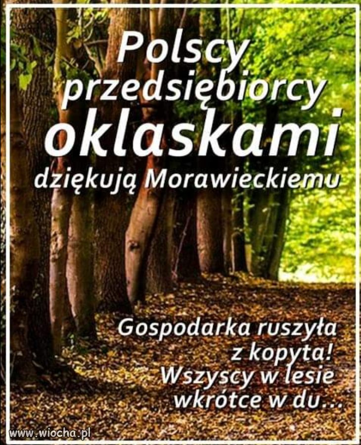 Dziękujemy!