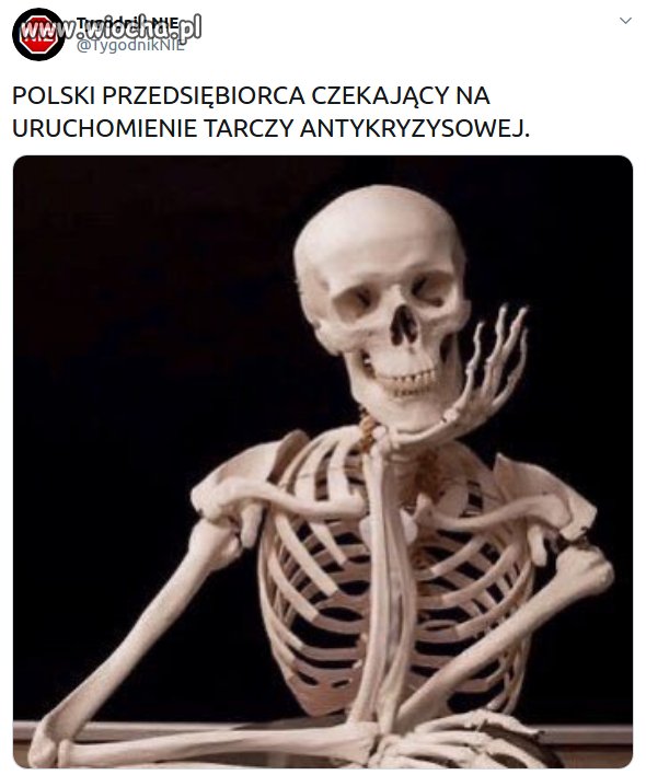 Polski przedsiębiorca