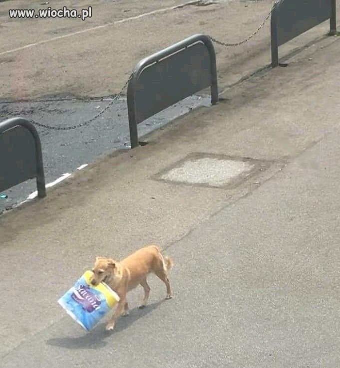 Nic dziwnego,że wszędzie braki