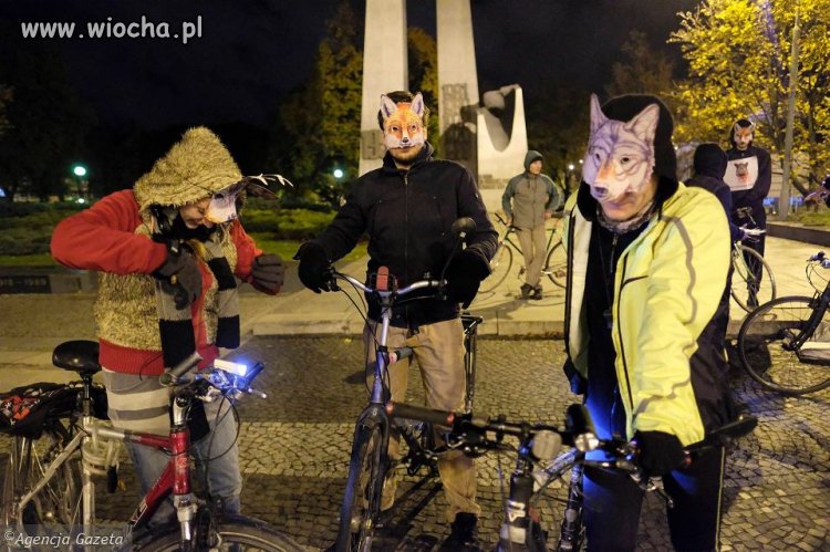 Jak to zakaz? Psa na rower zabrałem!