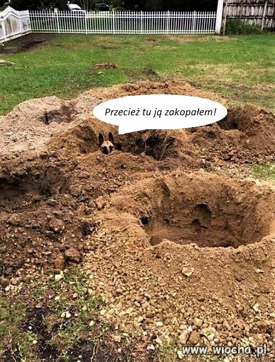 Bez tytułu.