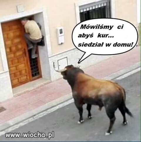  Po skargach na brutalność Policji...