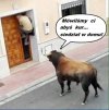  Po skargach na brutalność Policji...