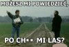 Do lasu sobie idzcie