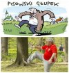 Pytam pana Mleczko