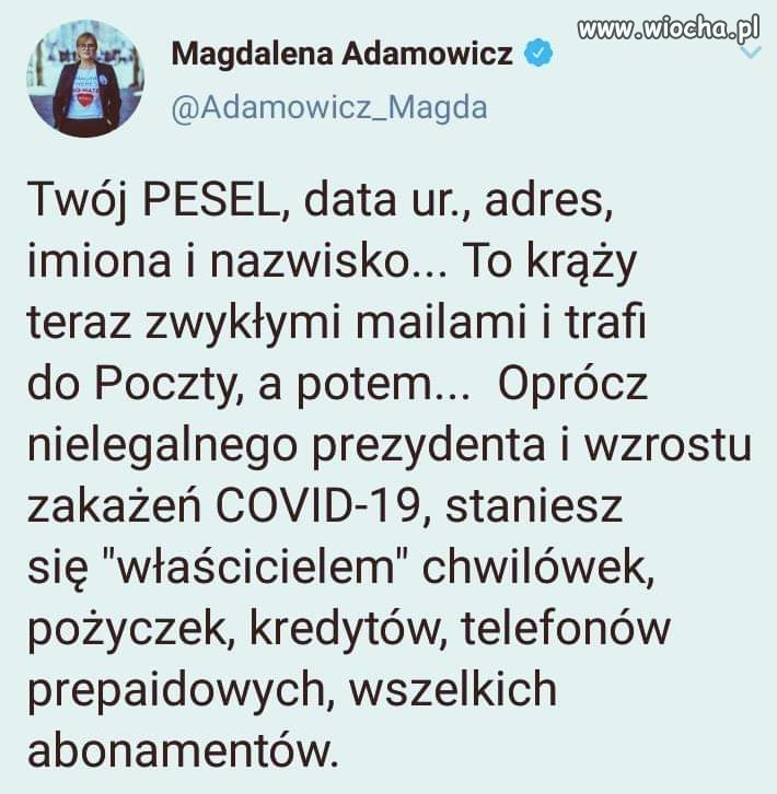 Kaczyści