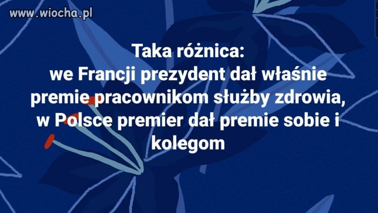 Banda złodziei. 