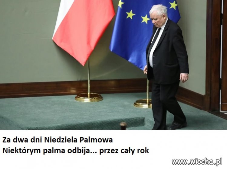 Niedziela Palmowa...