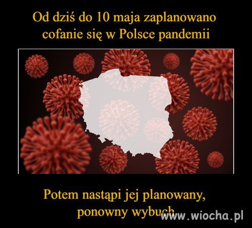 Taki jest plan