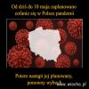 Taki jest plan
