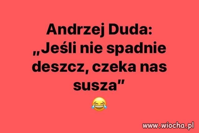 Geniusz