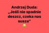 Geniusz