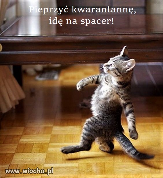 Bez tytułu.
