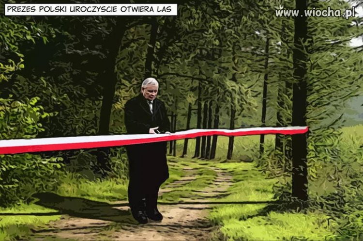 W momencie największej ilości zachorowań
