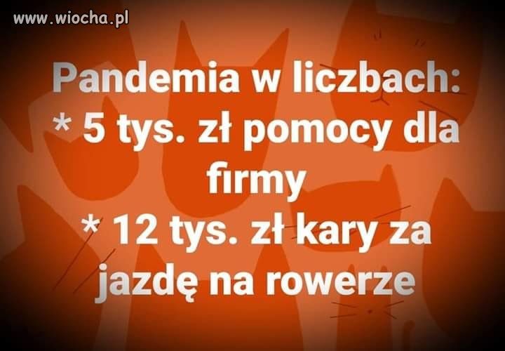 Przekaz dnia