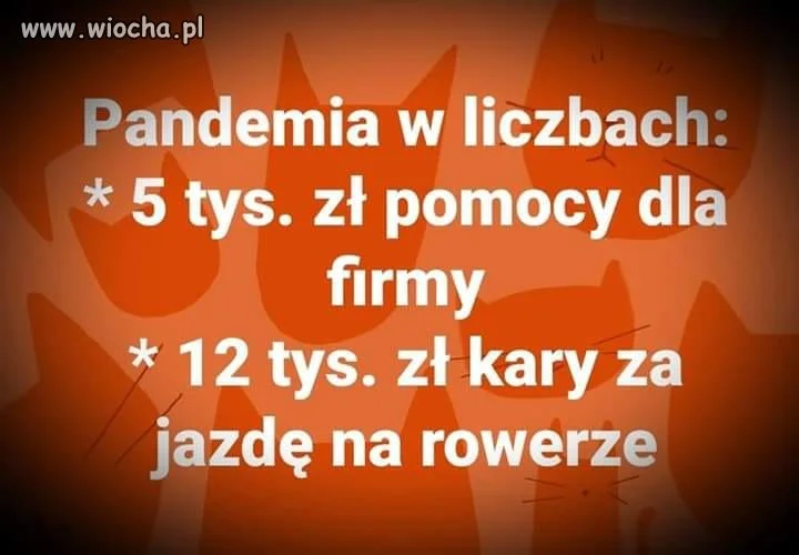 Przekaz dnia