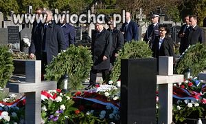 Mam nadzieję że szukają kwater 