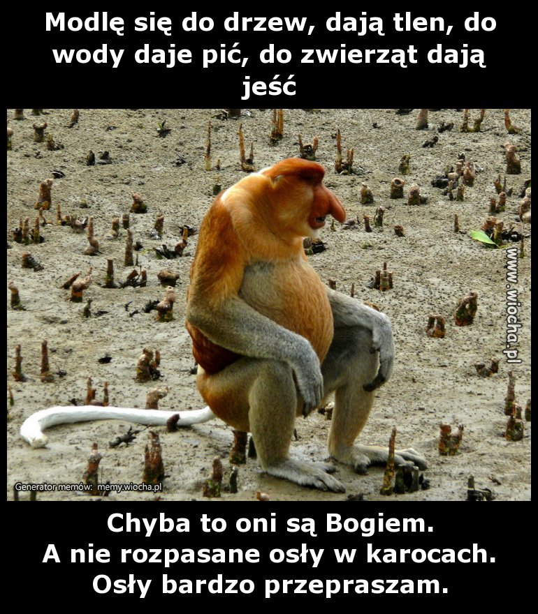 Modlę się do drzew, dają tlen, do wody daje pić,