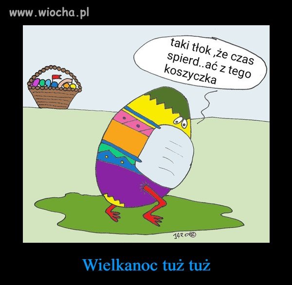 Nawet jajka wiedzą że siedzimy w domach 
