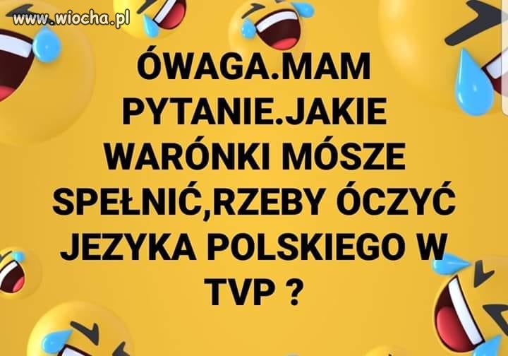 Pewnie się nie nadaje