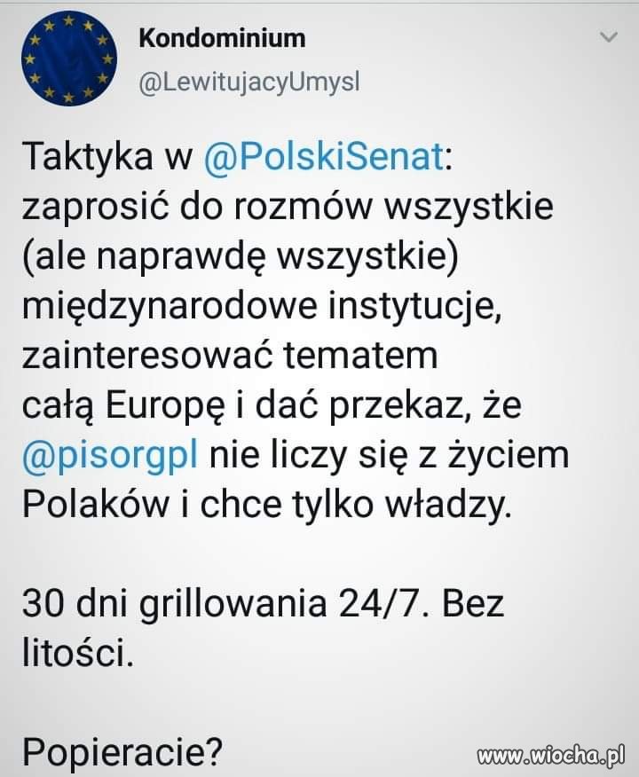 Kolejny dzień 