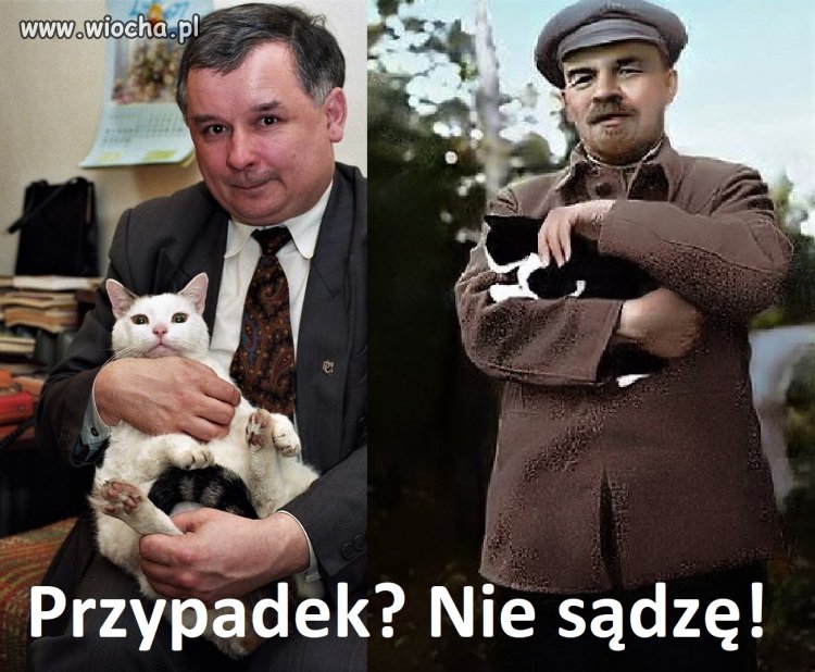 Bez tytułu.