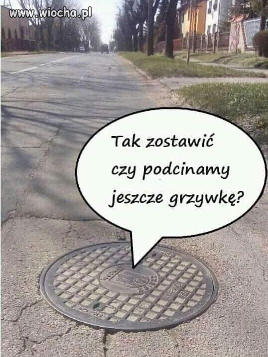 Podziemie pandemiczne.
