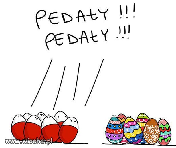 Wszędzie ta nietolerancja